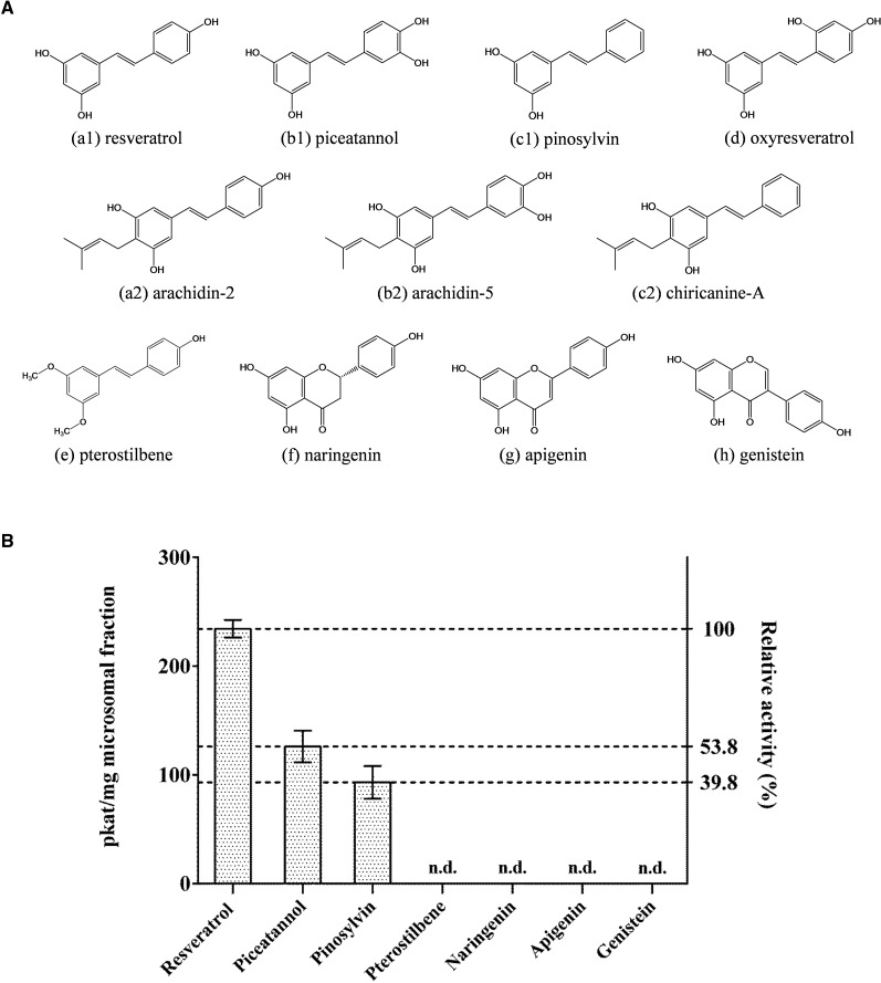 Figure 6.