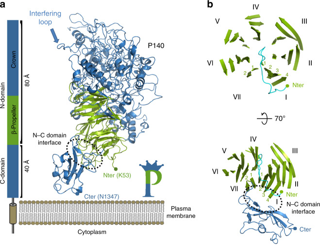 Fig. 1