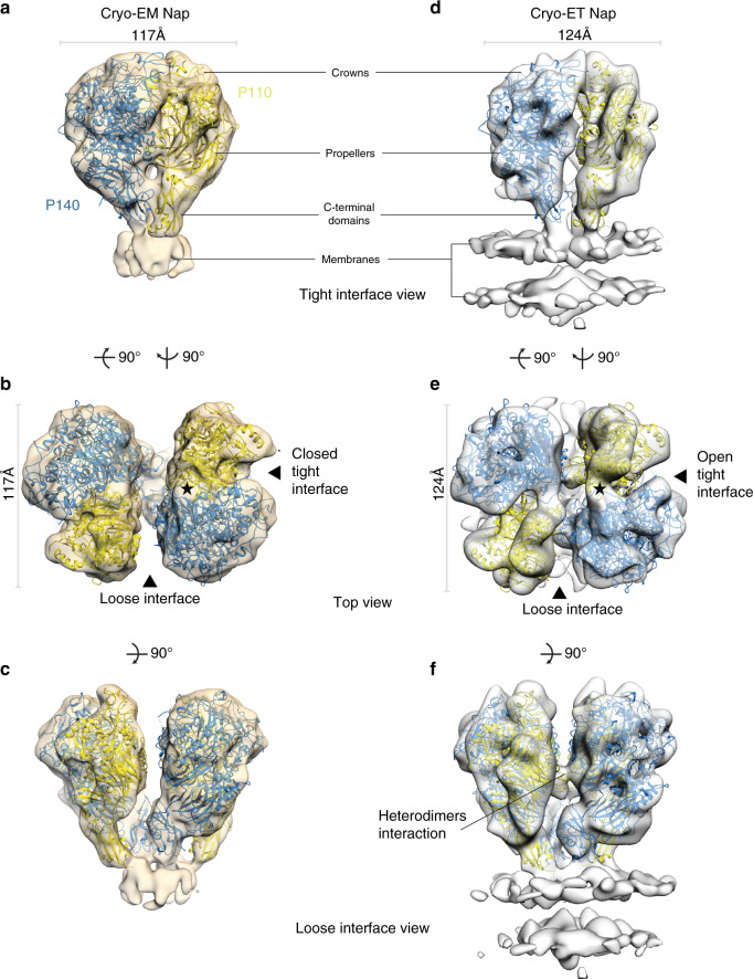 Fig. 3