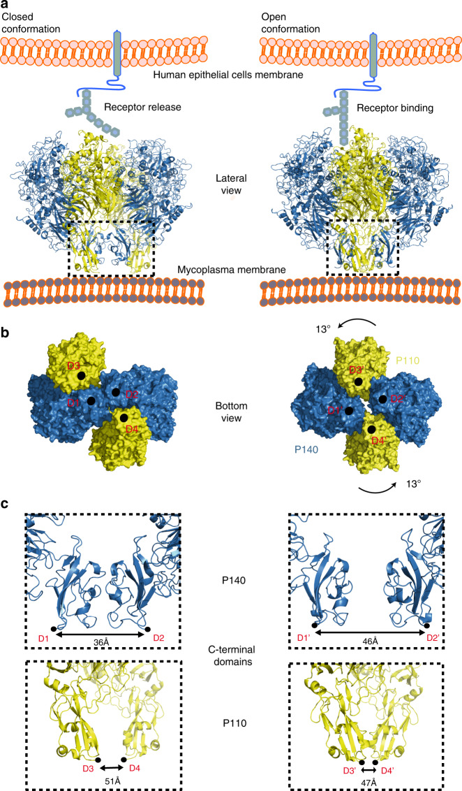 Fig. 4