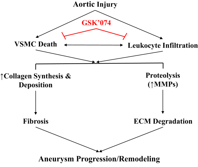 Fig 6