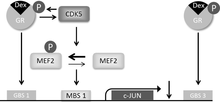 Fig. 6