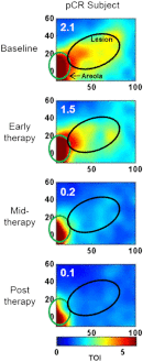 Fig. 8