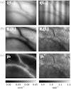 Fig. 5