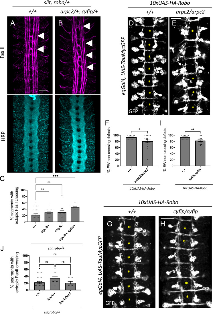 Figure 6—figure supplement 1.