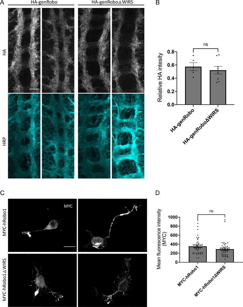 Figure 6—figure supplement 2.