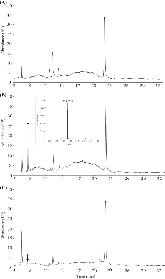 FIG 2