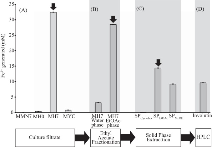 FIG 1