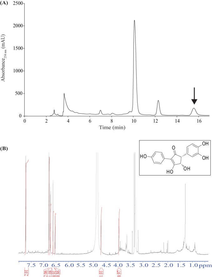 FIG 3