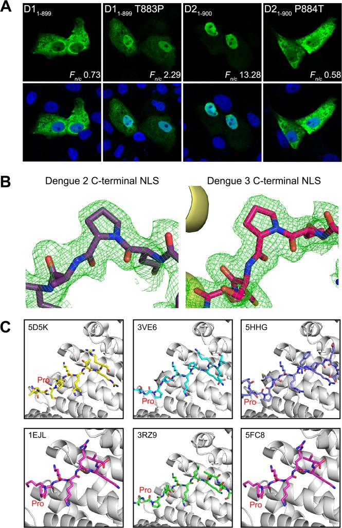 Fig 6