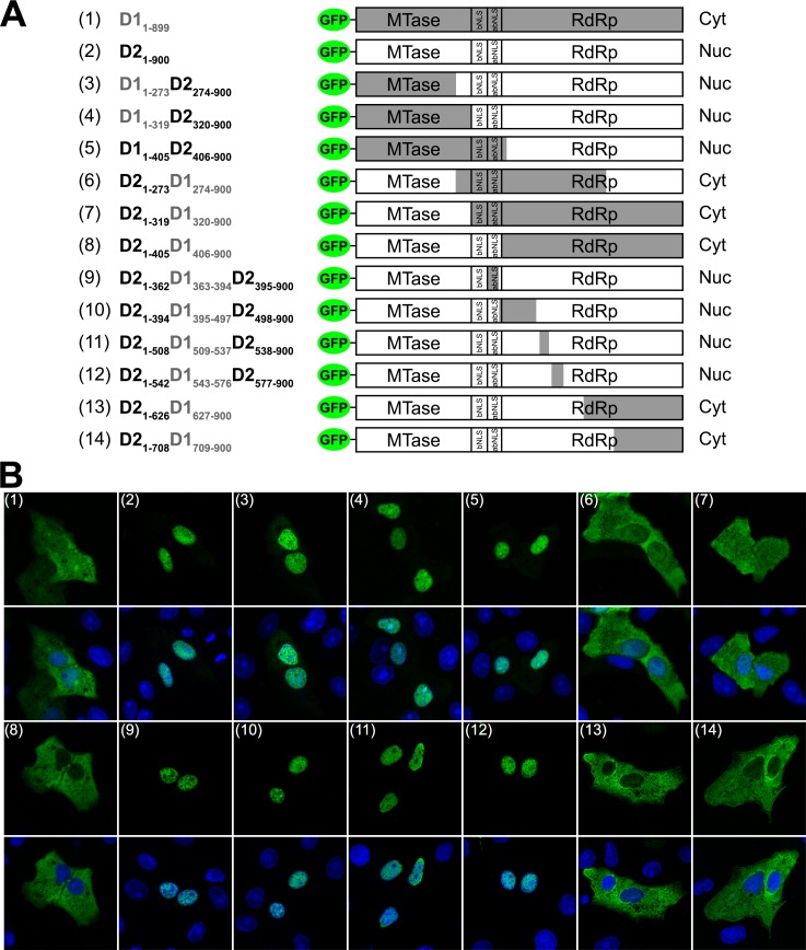 Fig 2