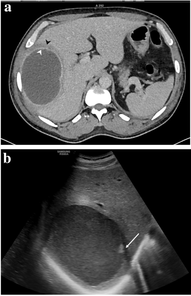 Fig. 8