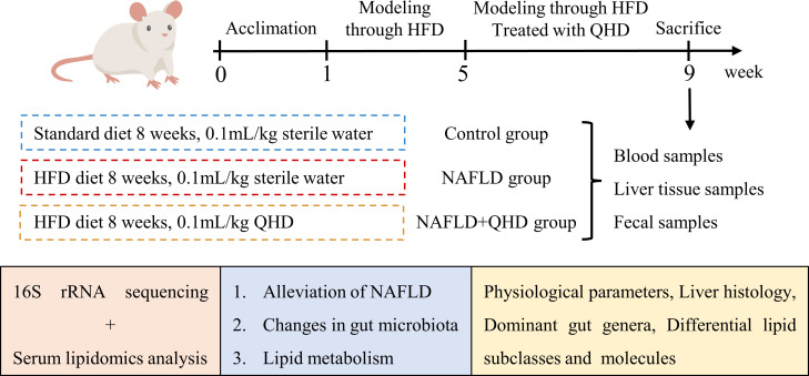 Figure 1