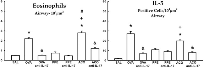 Figure 6