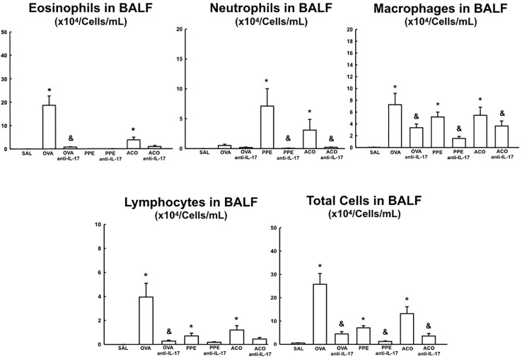 Figure 5