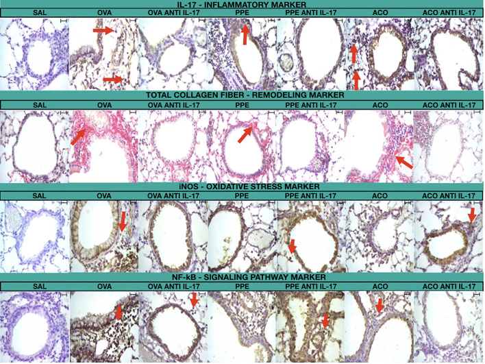 Figure 11