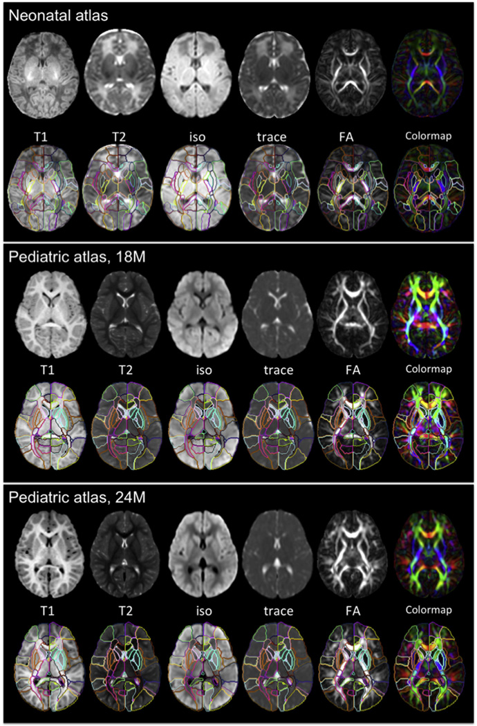 Fig. 2