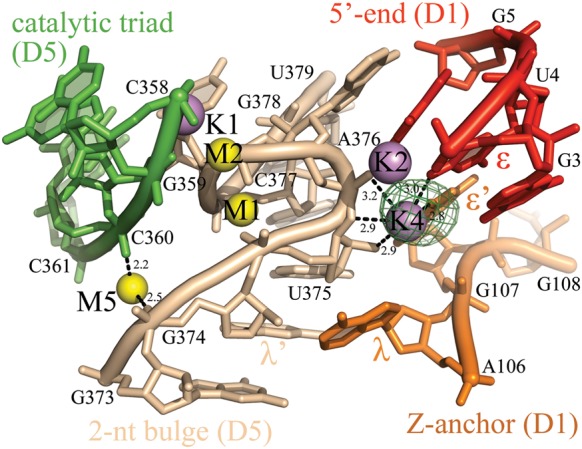 FIGURE 2.