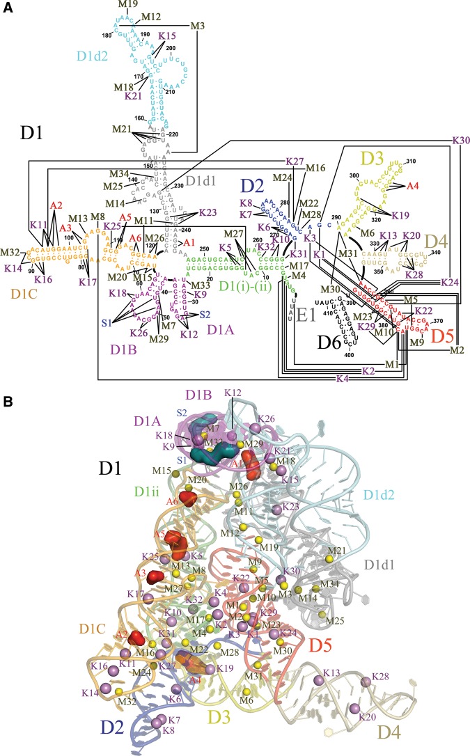 FIGURE 1.