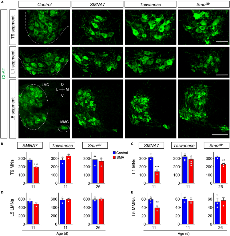 Figure 2