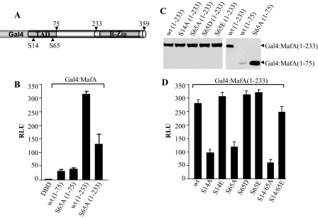 FIGURE 7.