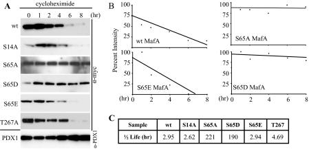 FIGURE 4.