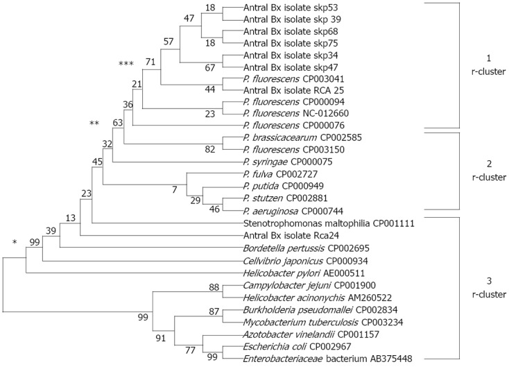 Figure 5