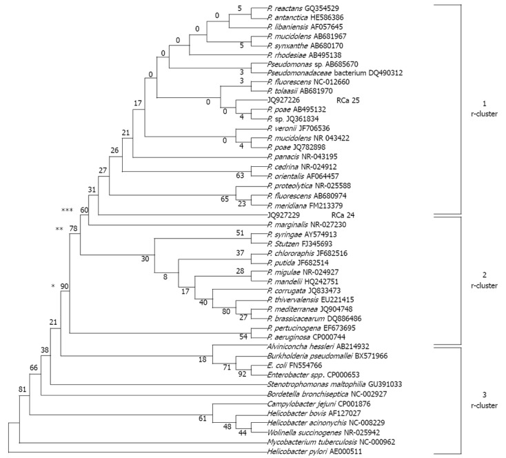 Figure 4