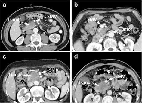 Fig. 5