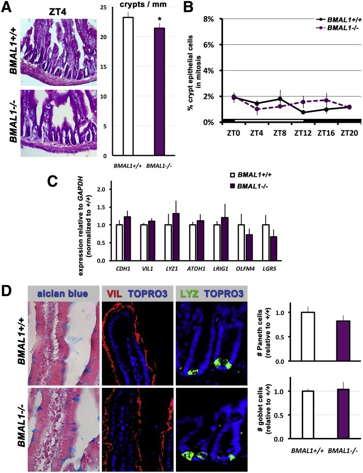 Figure 3