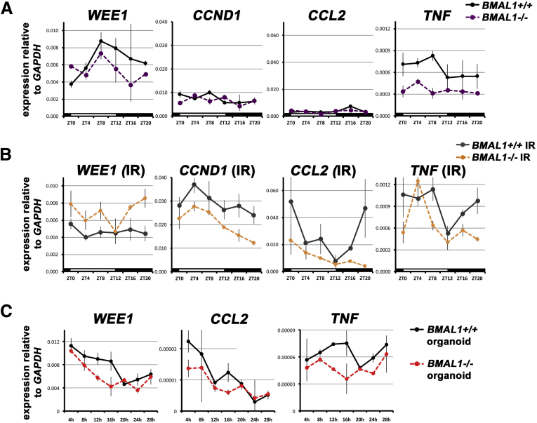 Figure 6