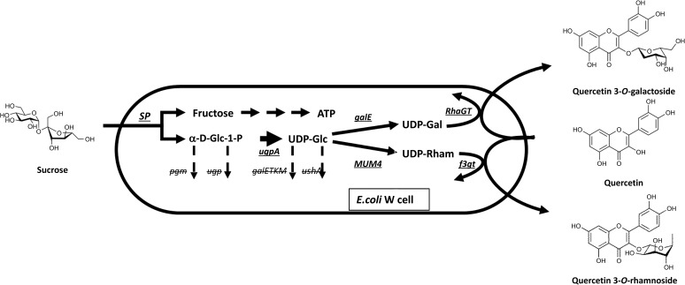 Figure 7