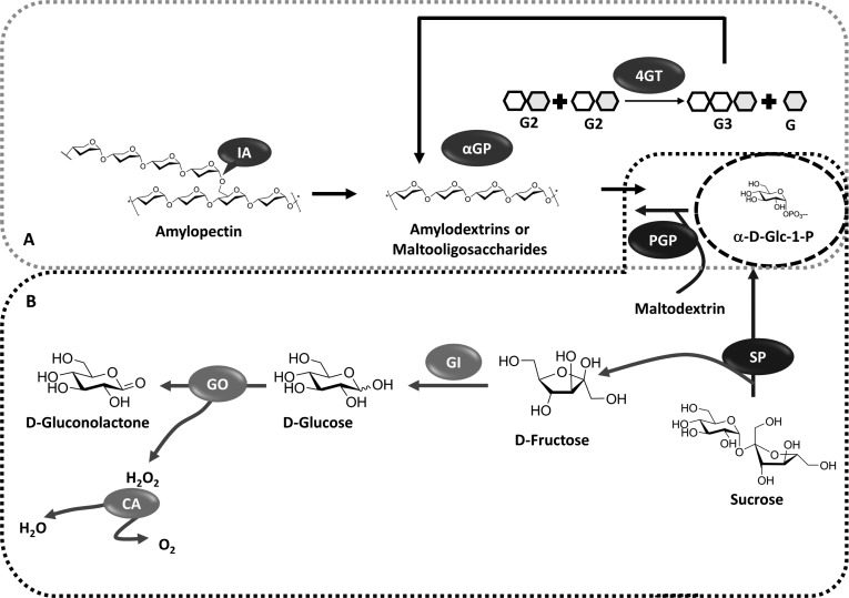 Figure 10