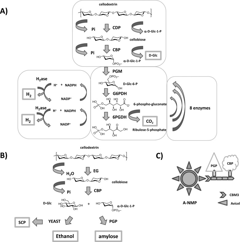 Figure 12