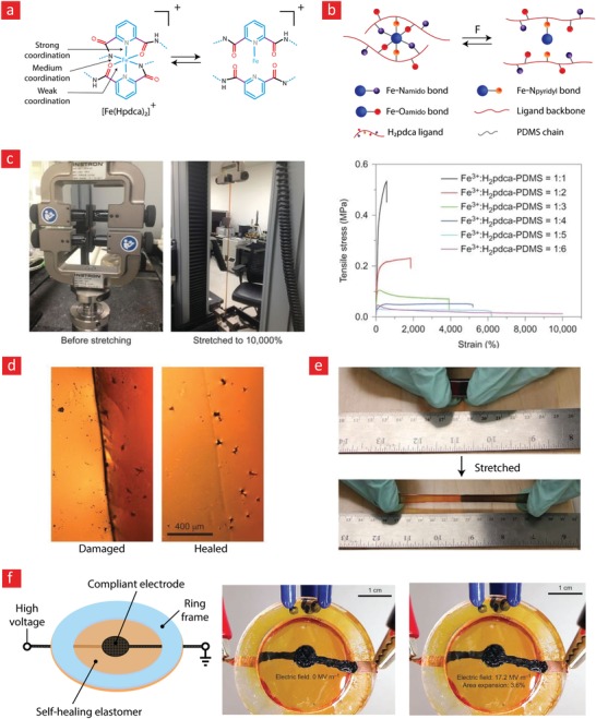 Figure 20