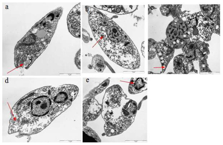 Figure 14