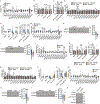 Extended Data Figure 6.