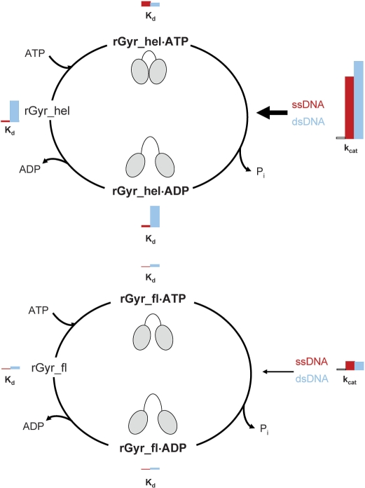 Figure 9.