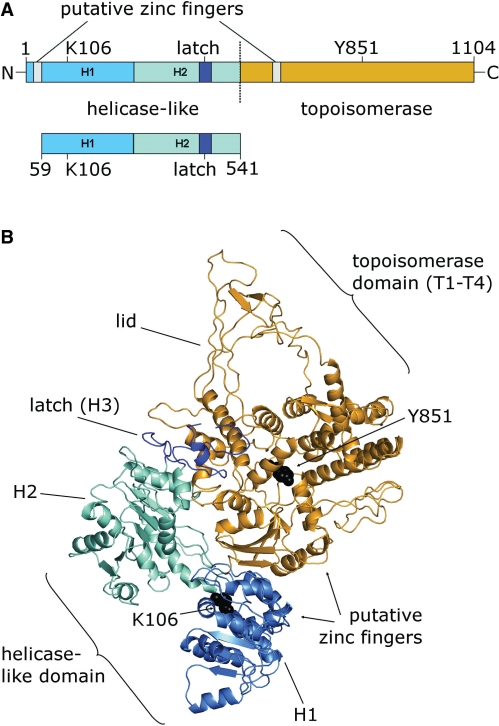 Figure 1.