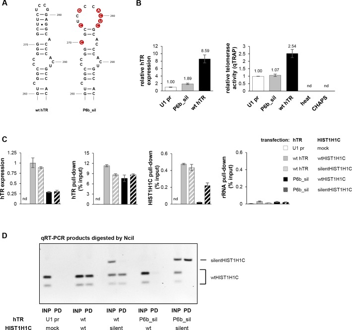 Figure 5—figure supplement 1.