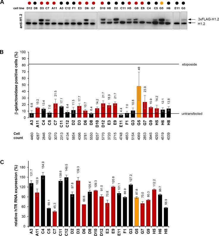 Figure 6—figure supplement 1.