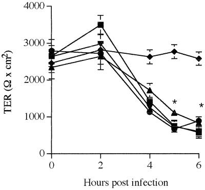 FIG. 6