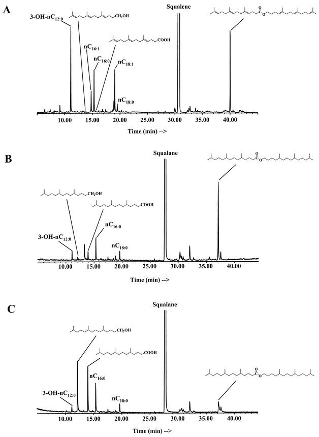 FIG. 4.