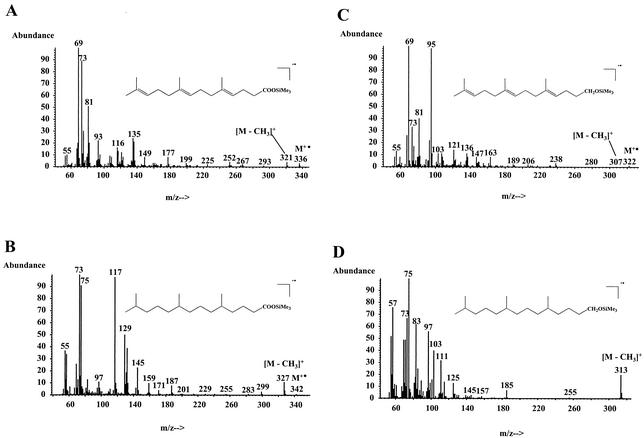 FIG. 6.