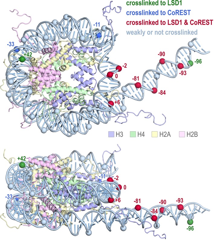 Figure 6.