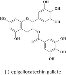 Fig. 15