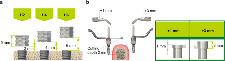 Fig. 3