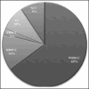 Pie diagram 2