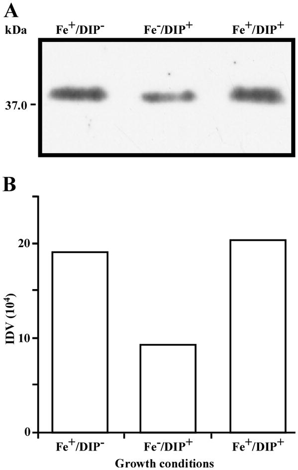 Fig. 6