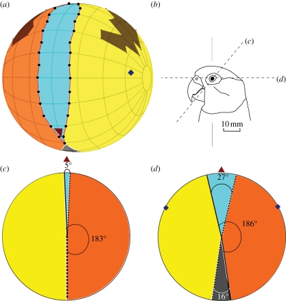 Figure 1.